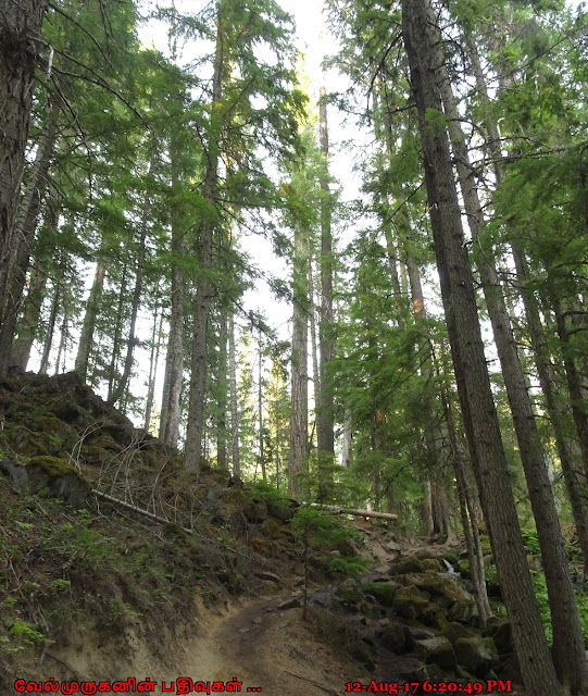 Clearwater Falls Hiking