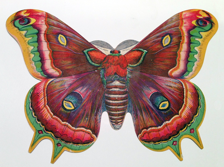 Letterology: Butterfly Planet