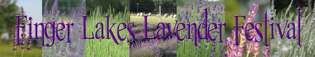 Finger Lakes Lavender Festival