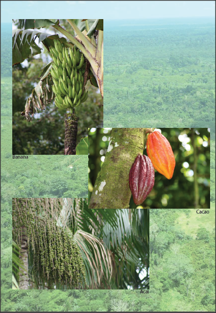 Fazenda Panorama