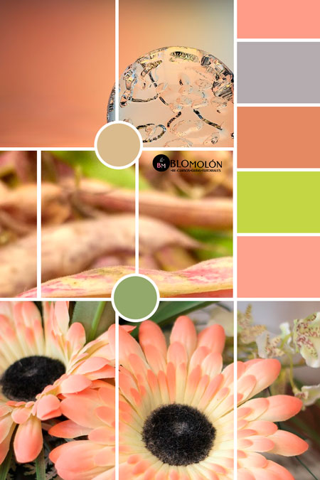 moodboard 3 moodboard_3