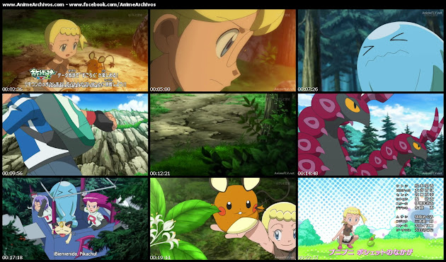 Pokemon XY&Z 10