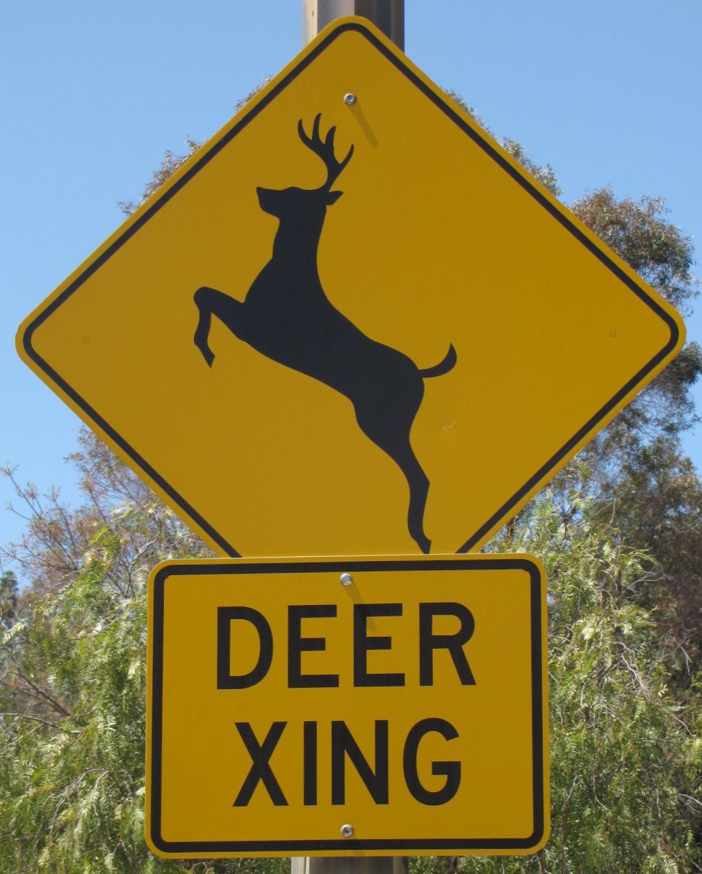 Deer Crossing Signs Near Me
