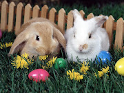 Fondo de Conejos de Pascua. Labels: Conejos, Fondos de Pantalla, . fondo conejo de pascua