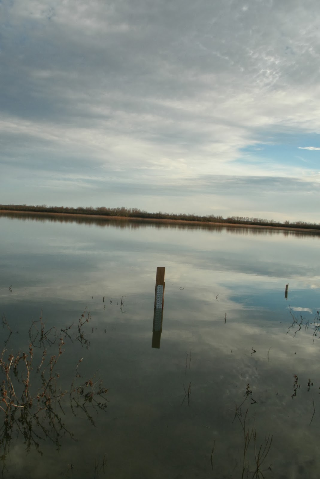 Twin Buttes Reservoir Paul Alexander's Latest Tune on Pumping South Pool
