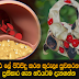 සිරුරේ ලේ පිරිසිදු කරන කුරුලෑ සුවකරන මදිටිය ප්රතිකාර ගැන හරියටම දැනගන්න
