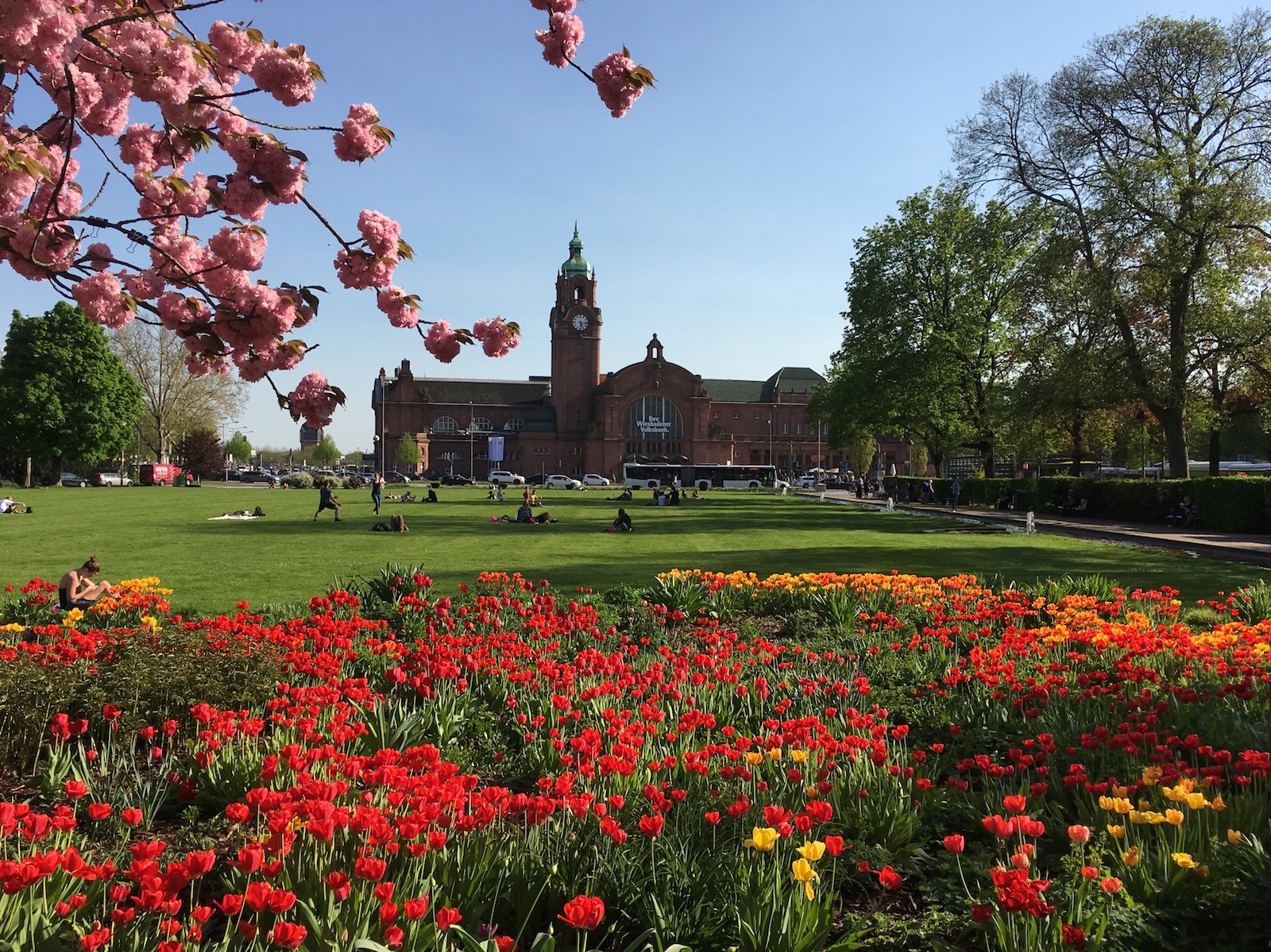 Perfect For Roquefort Cheese Fruhling In Wiesbaden