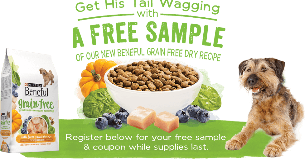 The Truth About Beneful Dog Food The Truth About Beneful Dog Food