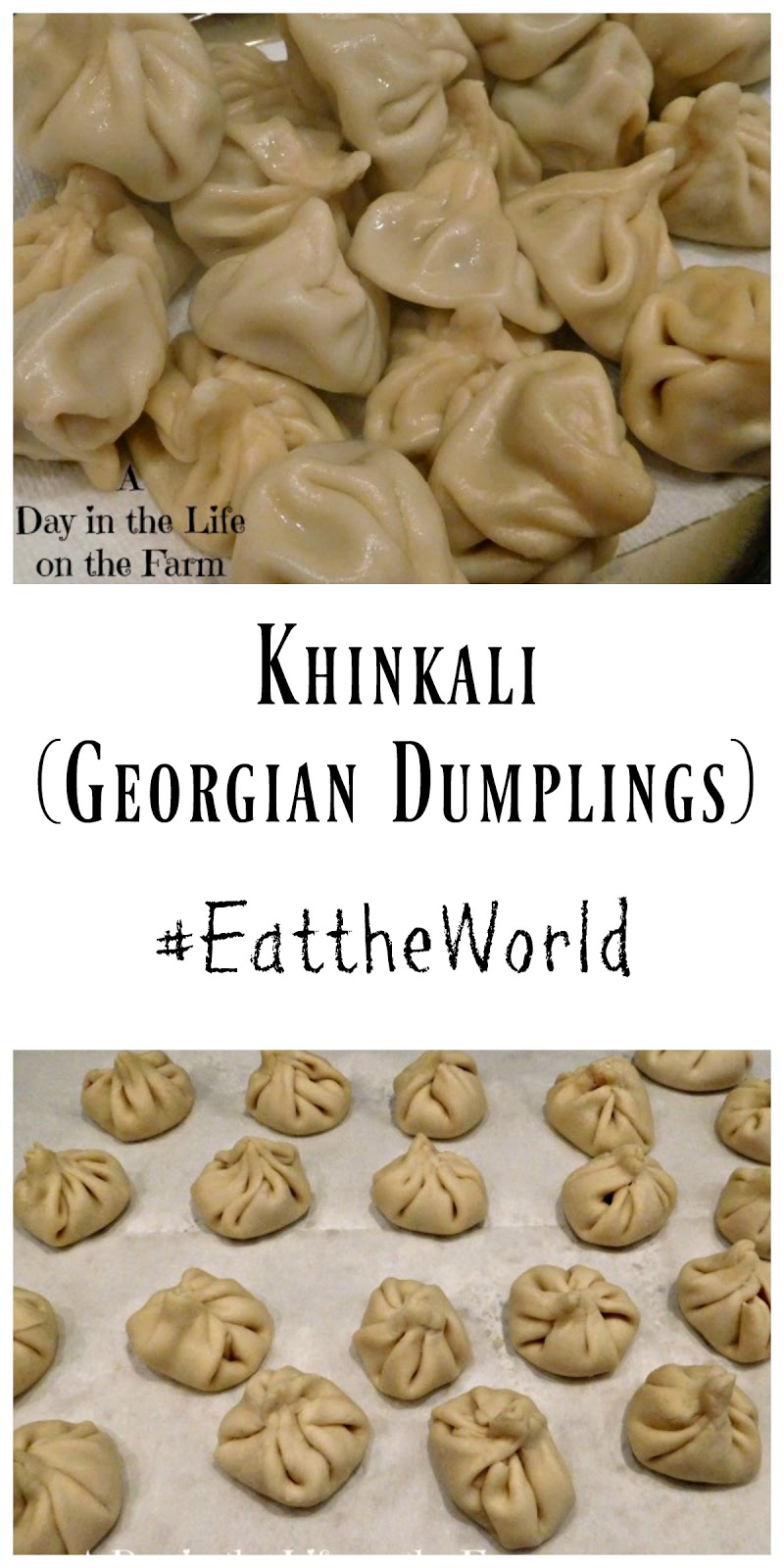 Khinkali Pork and Beef Soup Dumplings Recipe 