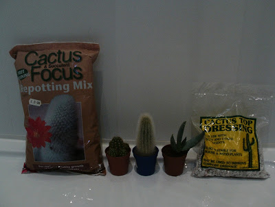 Cacti, compost and gravel for a Cactus in a coffee pot Green Fingered Blog