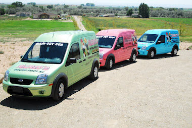 "The Amazing Maids Vans"