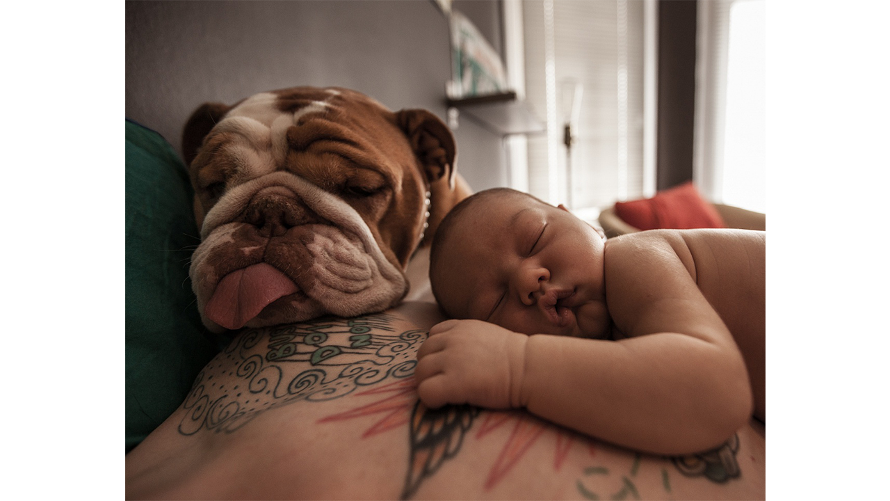 Приколы 2022 года смех до слез картинки с надписями смешные