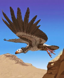 argentavis flying largest magnificens bird extinct giant birds animals dinosaurs scary eagle teratorn prehistoric ever animal creatures human comparison venom