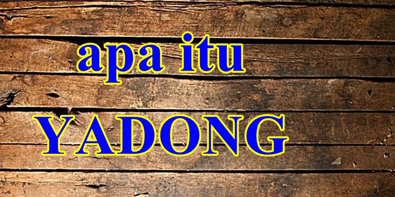 Apa Itu Kata Yadong Dalam Bahasa Indonesia Apa Itu Com