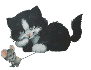 Animation Bundle: Animated Cats Jumping Playing and Running Around See