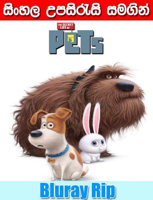 Amazon Com You Are My Destiny Fated To Love You Korean Drama