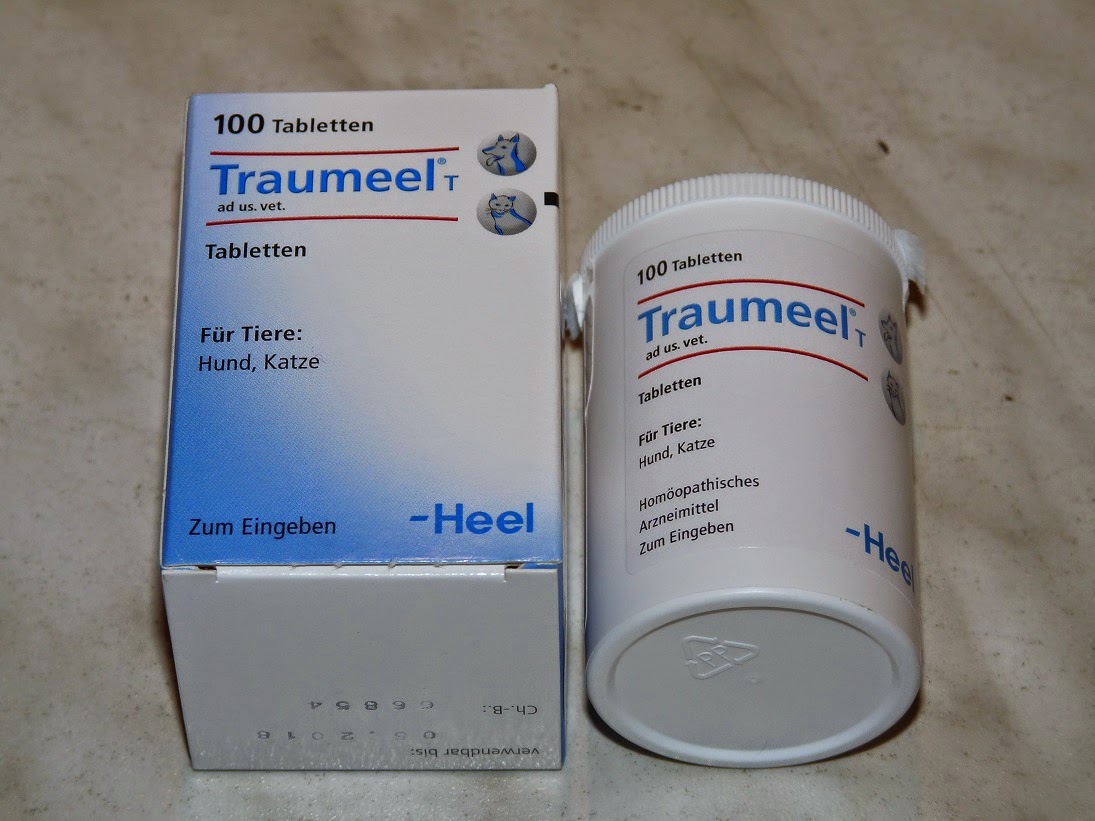 Caspers Welt Der Blog Frauchen Doktor und ihre Patienten