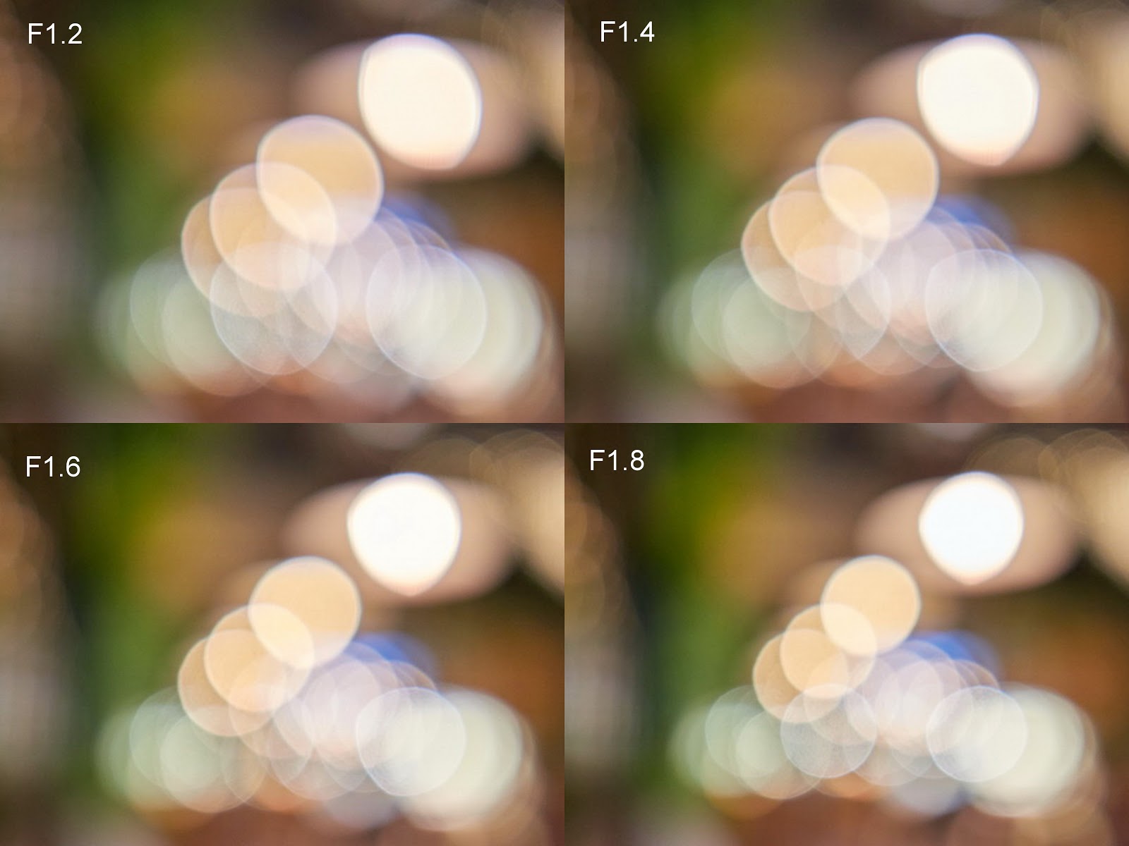 ROBIN WONG About That Olympus Feathered Bokeh