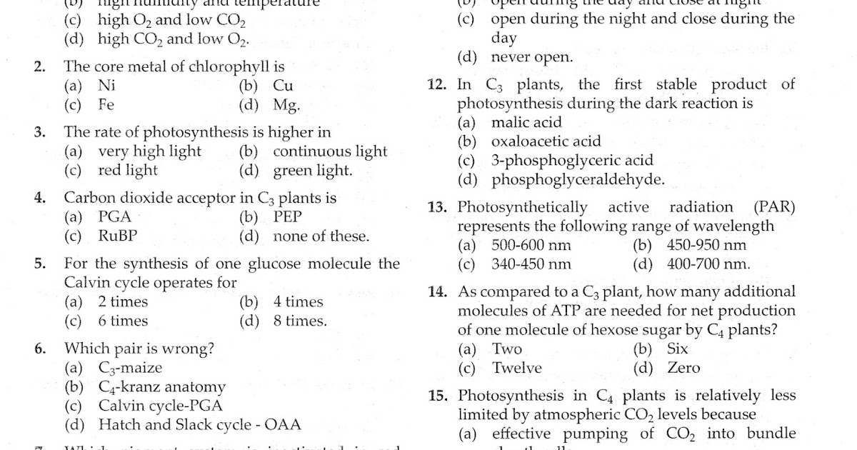 PROF SUNIL KUMAR S ADDABIOLOGY MCQ ON PHOTOSYNTHESIS NEET prof-sunil-kumar-s-addabiology-mcq-on-photosynthesis-neet