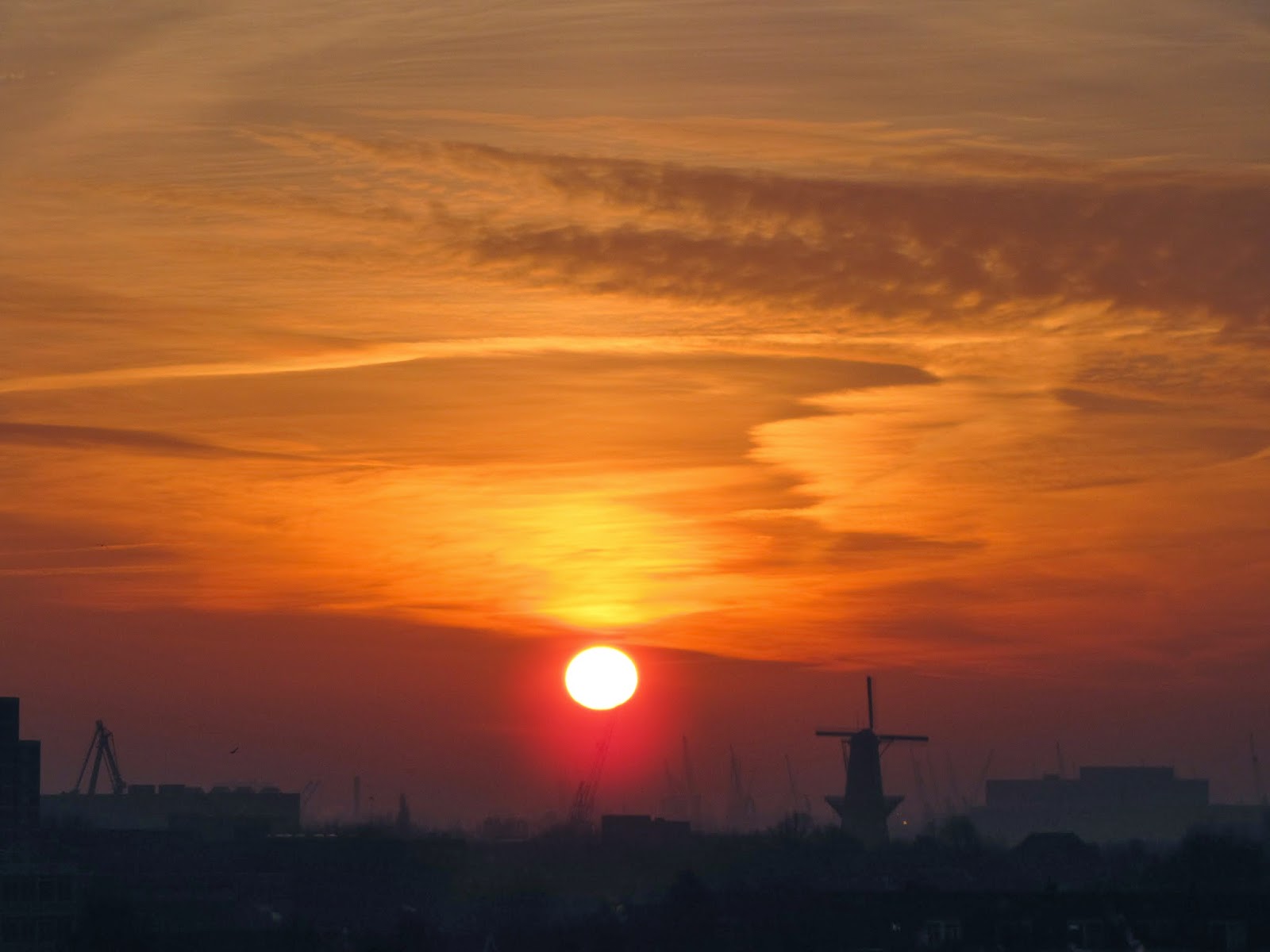 Conceptuele Kunst EdR maart 2014