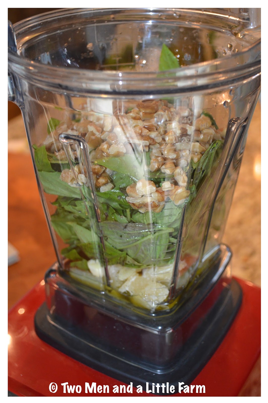 Two Men and a Little Farm HOW TO MAKE BASIL PESTO