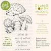 Power Poppy Miraculous Mushrooms