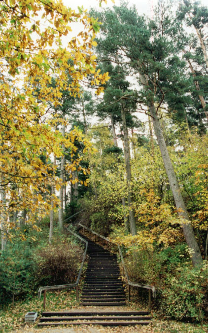 Lithuania - the best!: Sights in Palanga