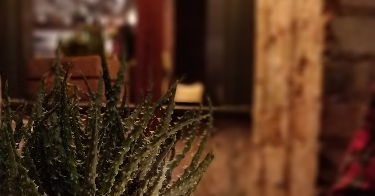 Sharing Dishes & Shuffleboard at The Vine, Kentish Town ShuffleNW5