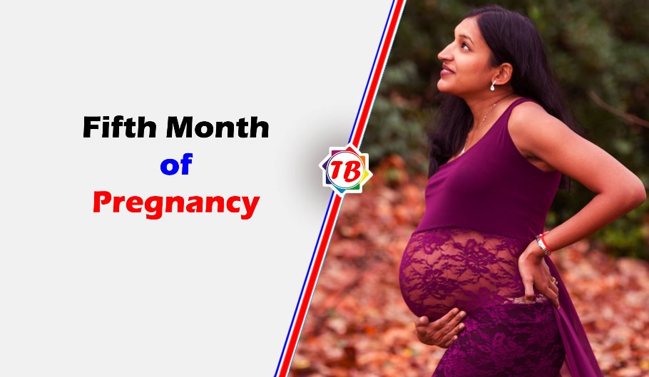 Fifth Month of Pregnancy
