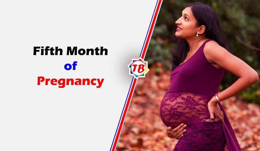 Fifth month of pregnancy