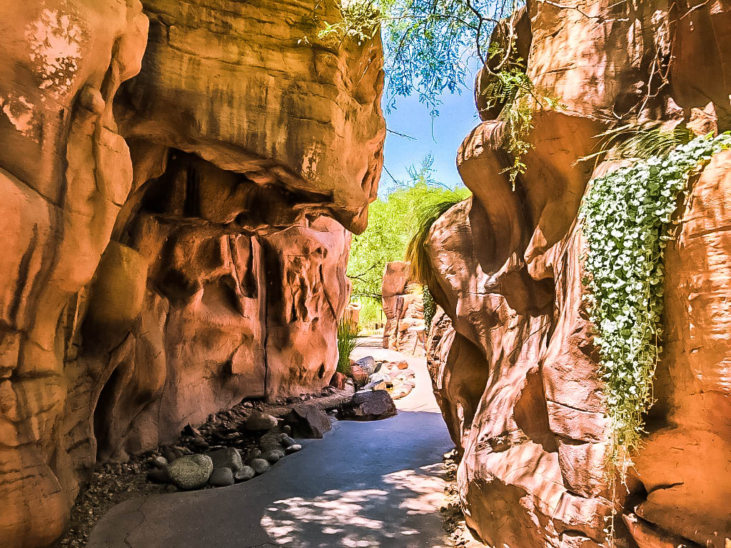 Jetsettin Daisy Springs Preserve