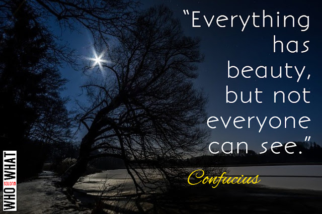 “EVERYTHING HAS BEAUTY, BUT NOT EVERYONE CAN SEE.”- CONFUCIOUS
