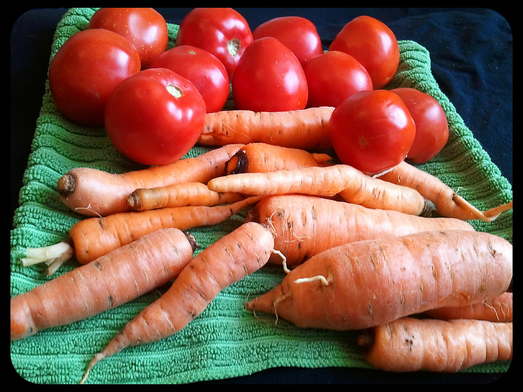 Earth and Space News Carrots Love Tomatoes Carrot Companion Planting