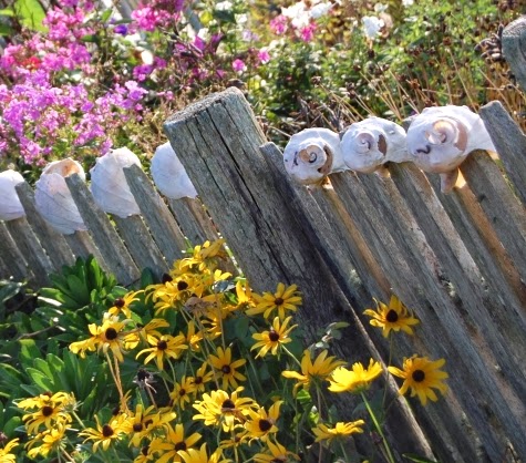 conch shell fence