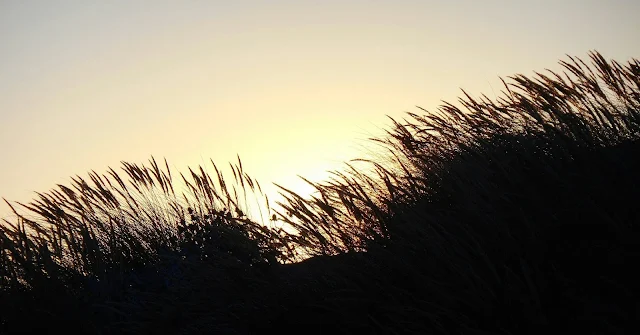puesta de sol en las dunas