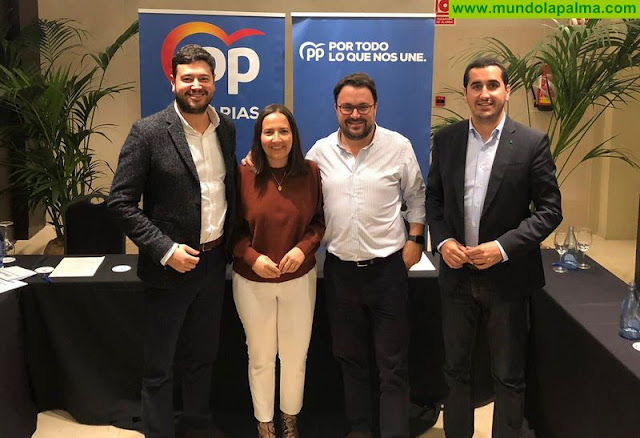 Los parlamentarios palmeros del PP plantean un frente común para frenar la subida de impuestos de los gobiernos de izquierda