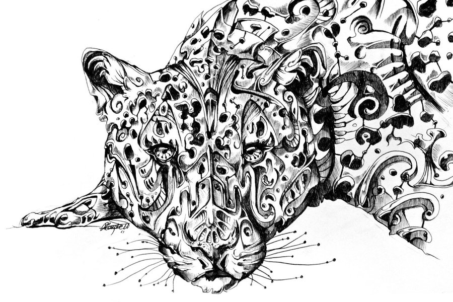 14-Leopard-René-Campbell-Art-in-Animal-Doodle-Drawings-www-designstack-co