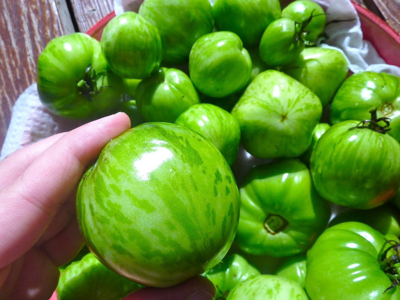 The Culinary Herb Farm Green Zebra Tomatoes