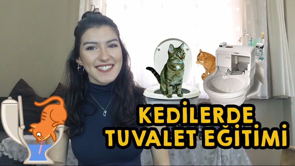 Kedi Tuvalet Kabi Modelleri Fiyatlari Indirim Burada Hizli Kargo