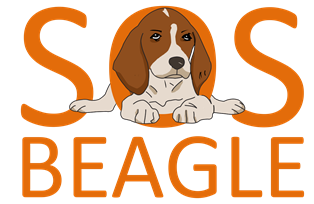 SOS Beagle