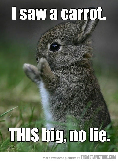 Bunnies Don't Lie!