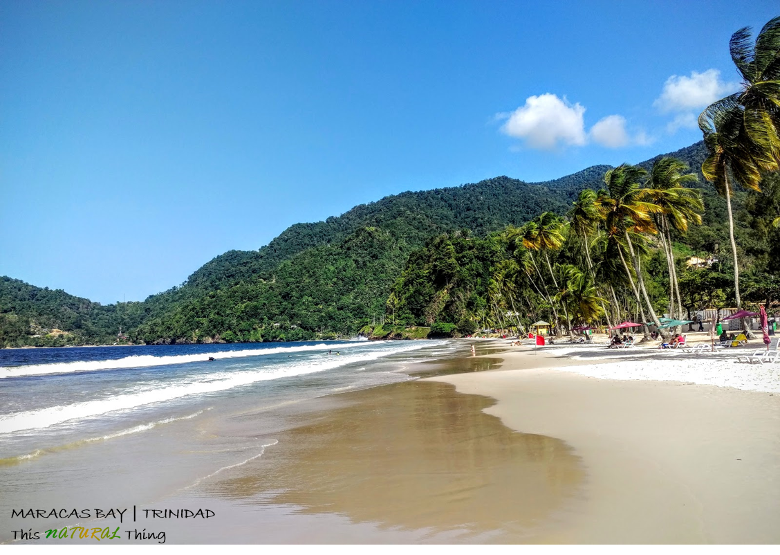 This NATURAL Thing Maracas Bay Palm Trees, Rolling Waves, & Lunch