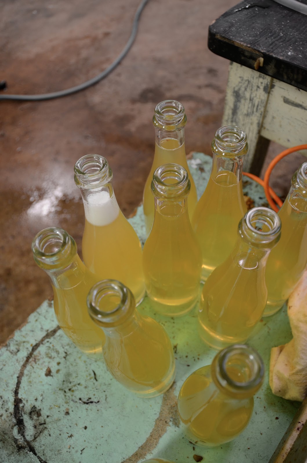 Danish Cider Step 9 Bottling of Modern Cider