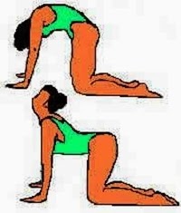 Cara Cepat Meninggikan Badan Dalam Waktu 3 Minggu Cara Cepat Meninggikan Badan Dalam Waktu 3 Minggu