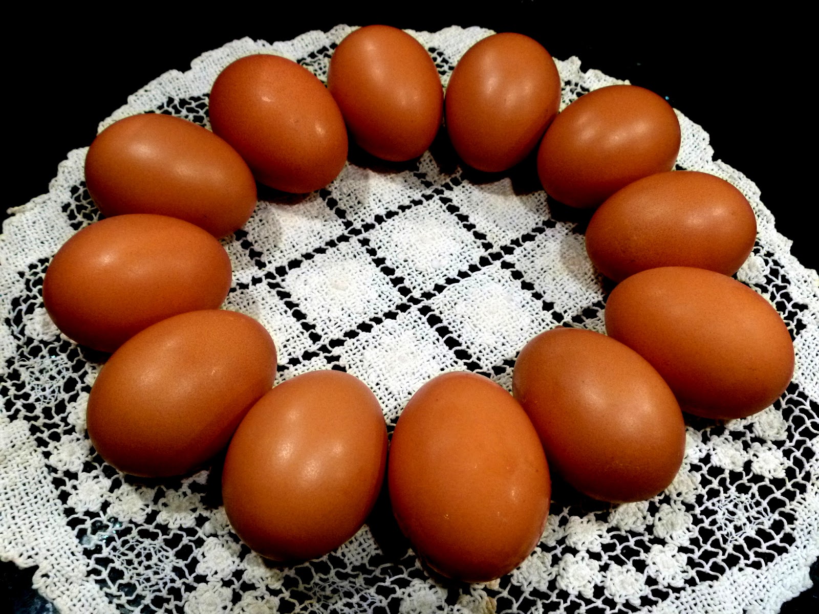 A Rainbow of Egg Colors What Breed of Chicken Lays Which Color Egg
