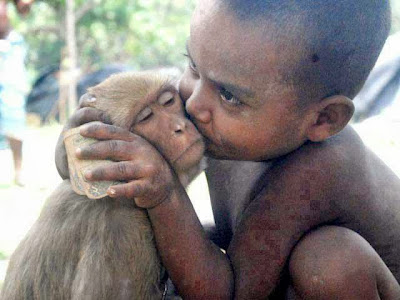 Funny Monkey Love