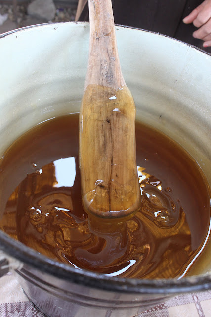 Pungent honey georgia