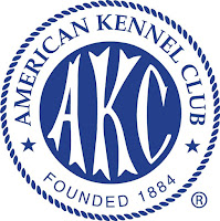AKC Dog Shows in USA
