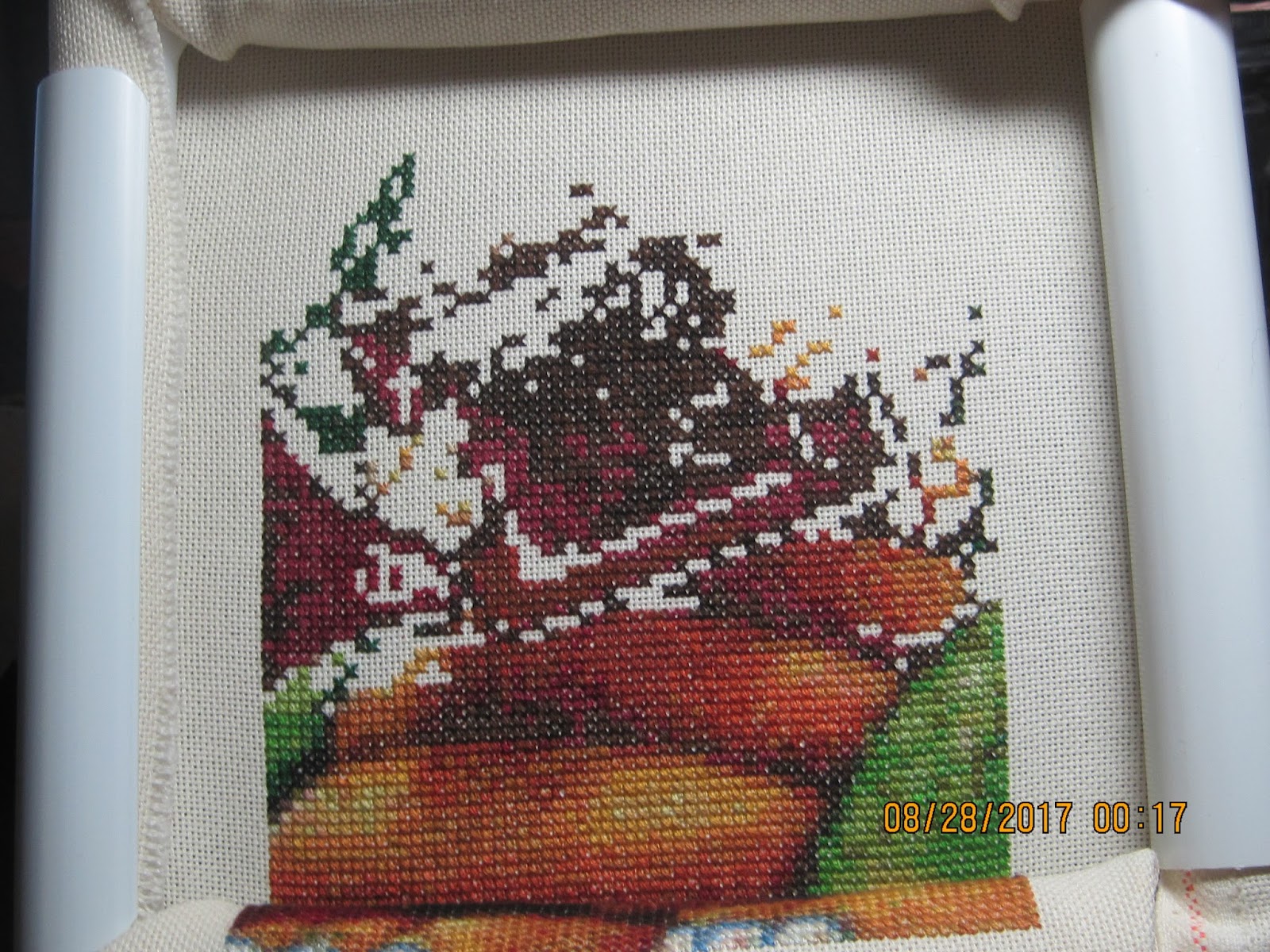 Home of a Floss Junkie