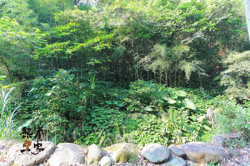 藍鵲喜居|苗栗公館民宿包棟|賞螢火蟲 油桐花 泡溫泉 烤肉